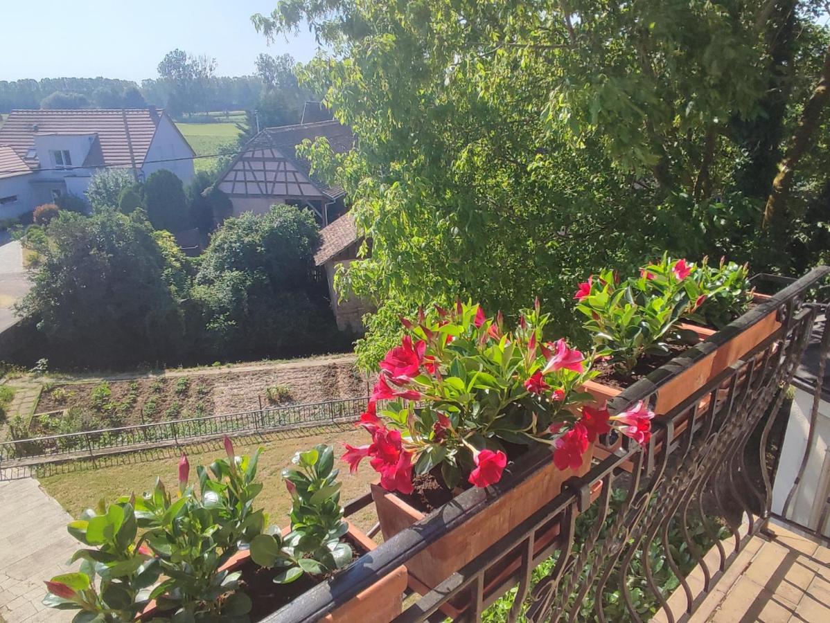 Appartement Des Rives De L'Ehn Krautergersheim Zewnętrze zdjęcie